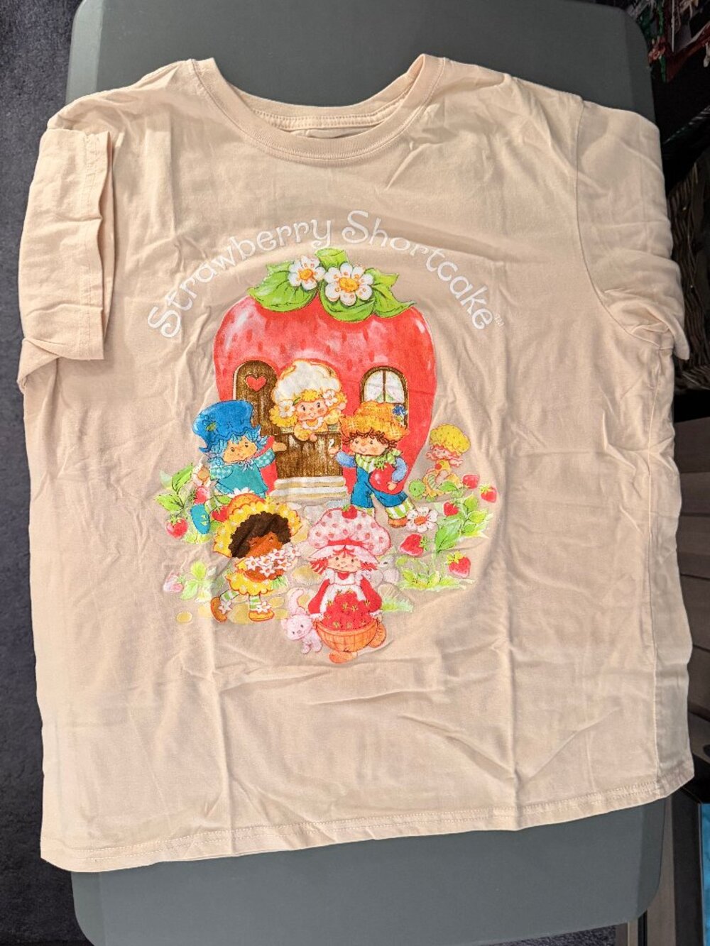 STRAWBERRY SHORTCAKE & Friends Fitted Light Pink Women's XL T-Shirt